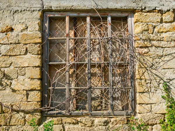 Старое Окно Покрытое Сухим Плющом Заброшенном Здании Абстракция — стоковое фото