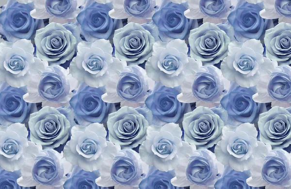 Tapeta Krásné Modré Růže Světle Modré Barevné Růže Květinový Motiv — Stock fotografie