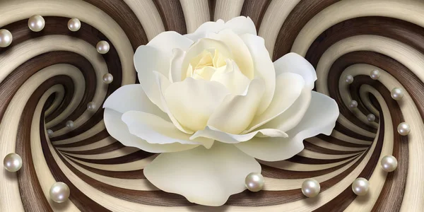 3d wallpaper, white rose and pearls on optical illusions background. Flower theme - this is a trend in interior design. Celebration 3d background.