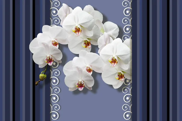 Fondo Pantalla Orquídeas Blancas Patrón Con Rayas Verticales Líneas Diferentes —  Fotos de Stock