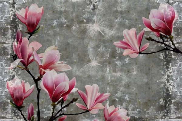 Tapety Magnolia Kwiat Betonowej Ścianie Teksturowane Tło Oryginalny Panel Zmieni — Zdjęcie stockowe