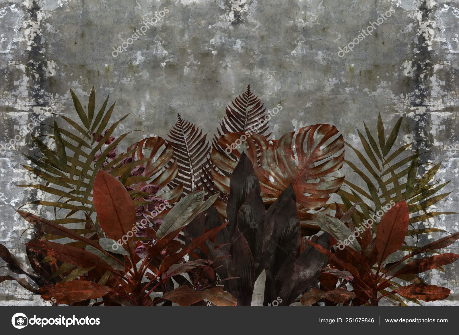 Fondo Pantalla Hojas Rojas Las Plantas Domesticas Fondo