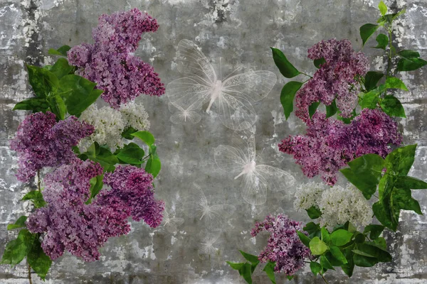 Tapete Lila Blume Auf Betonwand Strukturierten Hintergrund Das Originale Paneel — Stockfoto