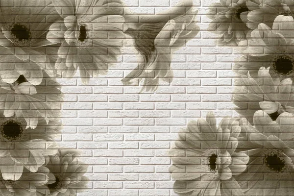 3D duvar kağıdı, tuğla duvar arka plan üzerinde gerbera. Açık havada etkisi. Özgün panelin iç moda odanıza en son dünya eğilimleri ile dönecek. 