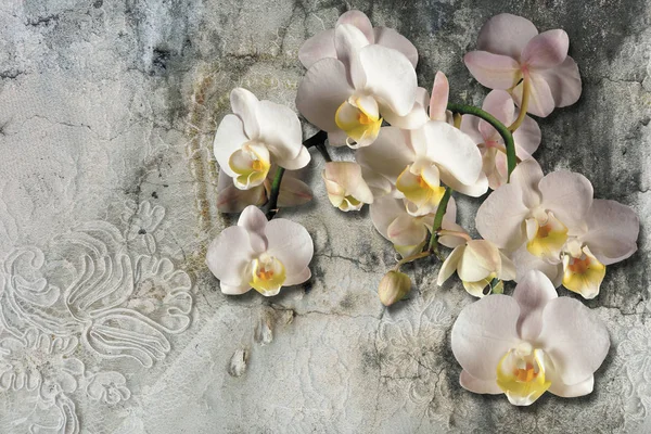 Wallpaper Bouquet Orchids Lace Concrete Wall Textured Murals Effect — Stock Photo, Image