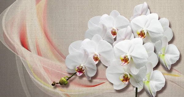 Tekstury Tapety Białe Orchidee Płótnie Tkaniny Tekstury Efekt Murals Ścian — Zdjęcie stockowe