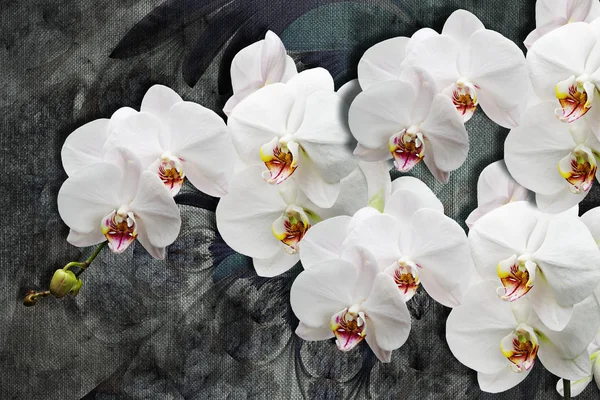Текстуры Обоев Белые Орхидеи Абстрактных Текстурах Холста Серый Фон Эффект — стоковое фото