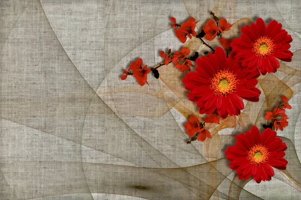 Tapetentextur Rote Gerbera Gänseblümchen Auf Abstrakten Leinwandtexturen Grauer Hintergrund Wandbild — Stockfoto