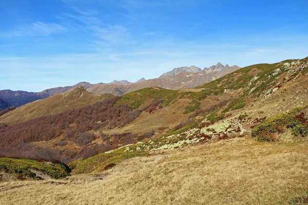 Panorama Avec Collines Automne Jaunes Montagnes Photo Été Prise Dans — Photo