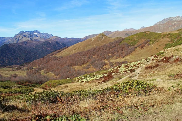 Πανόραμα Κίτρινο Φθινόπωρο Λόφους Και Βουνά Φωτογραφία Τραβήχτηκε Στην Κοιλάδα — Φωτογραφία Αρχείου