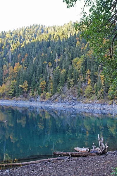 Beau Lac Entouré Montagnes Forêts Automne Malaya Ritsa Abkhazie — Photo