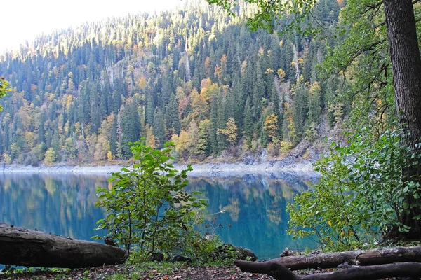 Bellissimo Lago Circondato Montagne Foreste Autunno Malesia Ritsa Abkhazia — Foto Stock