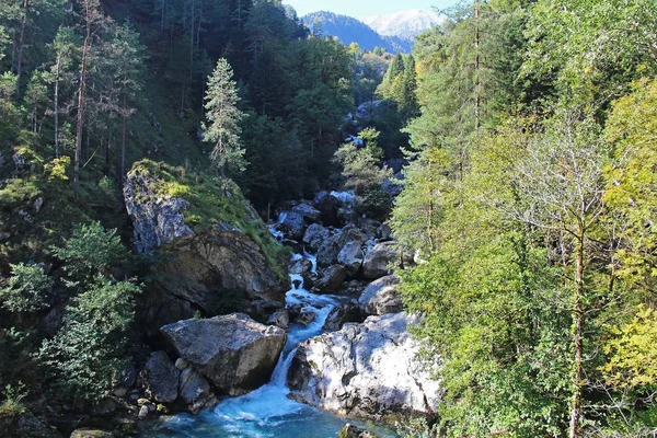 Bela Vista Rio Montanha Outono Rio Montanha Floresta Abcásia Bela — Fotografia de Stock