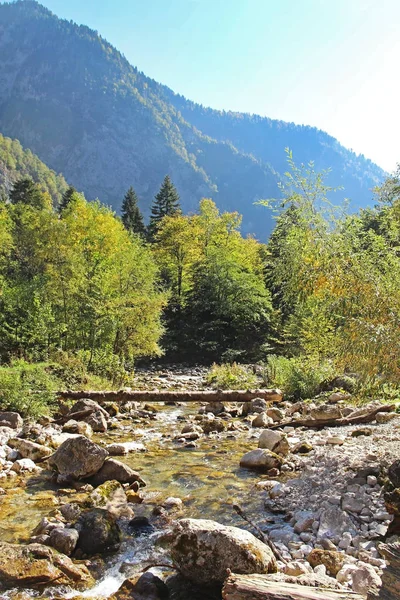 Sonbahar dağ nehirde ahşap köprüden güzel manzarasına. Ormandaki nehir dağ. Abhazya. Güzel manzara.