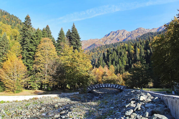 Beautiful view of the wooden bridge over the mountain river in autumn. Mountain river in the forest. Abkhazia. Beautiful landscape.