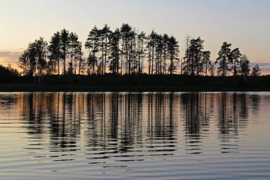 Ağaçlar ve renkli gökyüzü siluetleri orman göle akşam yansıtılır. Harika manzara. Sıradışı ve güzel sahne. Güzellik dünya. Rusya.