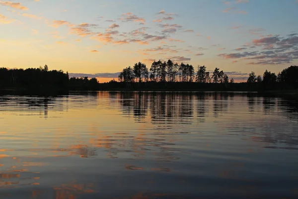 Silhuetas Árvores Céu Colorido Refletem Lago Florestal Noite Paisagem Fantástica — Fotografia de Stock