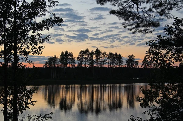 Silhuetas Árvores Céu Colorido Refletem Lago Florestal Noite Paisagem Fantástica — Fotografia de Stock