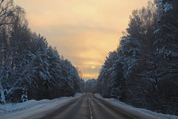 Piękny Zimowy Krajobraz Droga Lesie Zimą Wschodzie Słońca Rosja — Zdjęcie stockowe