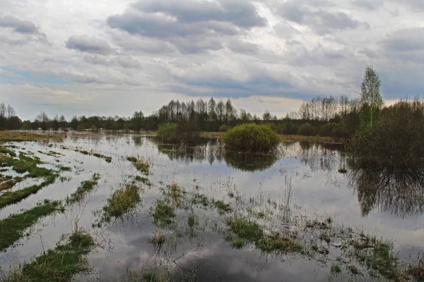 Déversement de la rivière dans les champs au début du printemps par temps nuageux . — Photo