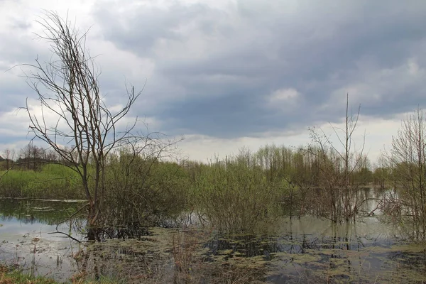 Zalanie rzeki w polach wczesną wiosną w pochmurna pogoda. — Zdjęcie stockowe