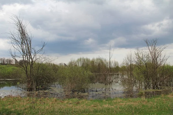 Zalanie rzeki w polach wczesną wiosną w pochmurna pogoda. — Zdjęcie stockowe
