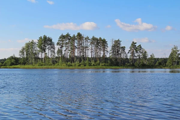 Gyönyörű természet - erdei tó, kék víz. Szépség világ, Oroszország. — Stock Fotó