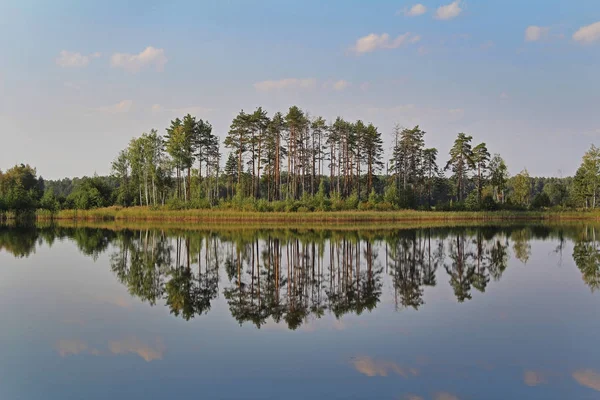 Силуэты деревьев отражаются в лесном озере. Фантастический пейзаж. Необычная и живописная сцена. Россия . — стоковое фото