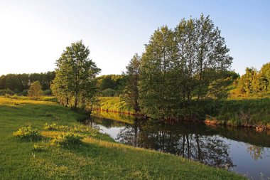 Güzel göl güneşli yaz gününde. Rusya.
