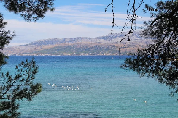 Hermoso paisaje de la costa del mar Adriático con agua azul transparente cerca de Supetar, Croacia. Destinos turísticos populares . — Foto de Stock