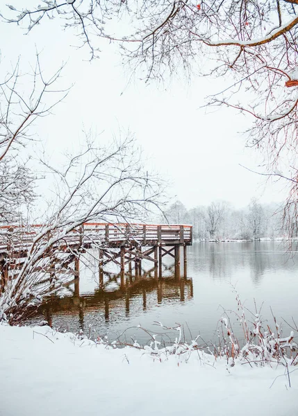 Kış orman arasında nehir iskelede. Ahşap köprü. Kış sabah manzarası. Alman köyü. Kış aylarında Bavyera