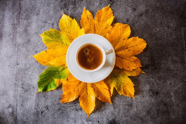 Bir fincan kahve ve sarı sonbahar yaprakları koyu gri bir arka plan üzerinde. Fotoğraf üzerinde. Sonbahar natürmort. Çekim nesne. Yaprak desen