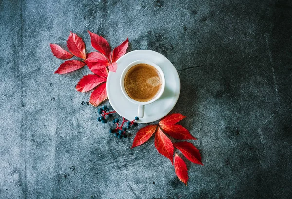 Cup of coffee, dark berries and red autumn leaves on a gray dark background. Photo above. Autumn still life. Object shooting. Leaf pattern.