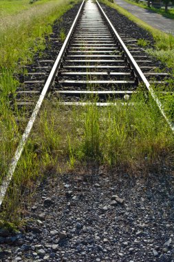 Doğada demiryolu rayları ve önlerinde uzun yeşil çimenler