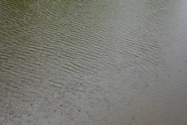Dešťové Kapky Vodu Jezera Mnoha Vodními Kruhy — Stock fotografie