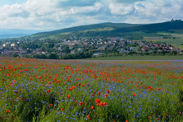 Çiçekli ve gelincikli çayırlar, Ostheim tatil köyü manzaralı ve yüksek Rhon, Bavyera, Aşağı Frankonya, Almanya 'da eski bir şato