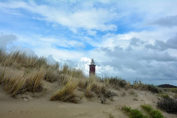 Hollanda 'nın Ouddorp kentinde, Avrupa' nın Zeeland kentinde, ön planda plaj çimleri bulunan 56 metre yüksekliğindeki 