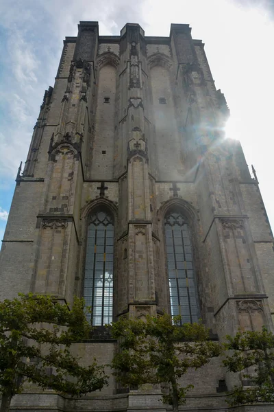 Hollanda Zierikzee Deki Eski Sint Lievens Mnster Kulesi Nden — Stok fotoğraf