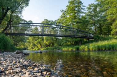 Almanya 'daki Eder Nehri' nin sularının kıyıdan görünüşü.