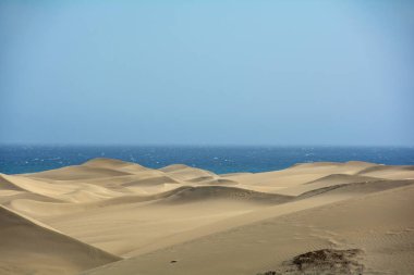 İspanya 'daki Gran Canaria' daki Maspalomlar 'ın kumulları, deniz ve mavi gökyüzü. Dev kum tepeleri küçük bir çöle benzer ve doğa koruma alanıdır..