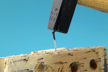 Bazı işçi için ahşap tahta çekiç kullanarak tırnak çalıyor. Mavi arka plan