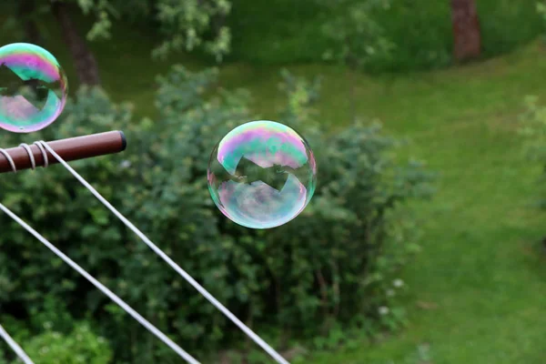 Une Bulle Colorée Volant Dans Les Airs Dessus Jardin Essayant — Photo