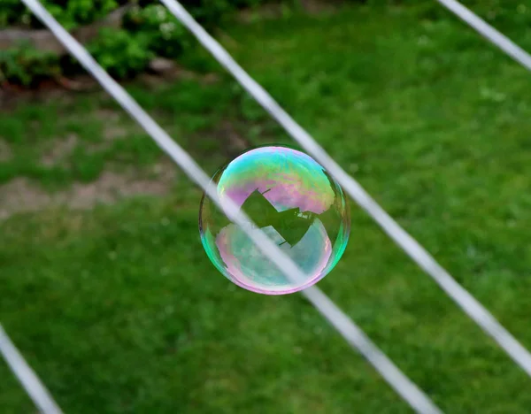 Удивительный Красочный Пузырь Между Двумя Шнурами Над Землей Летает Воздухе — стоковое фото