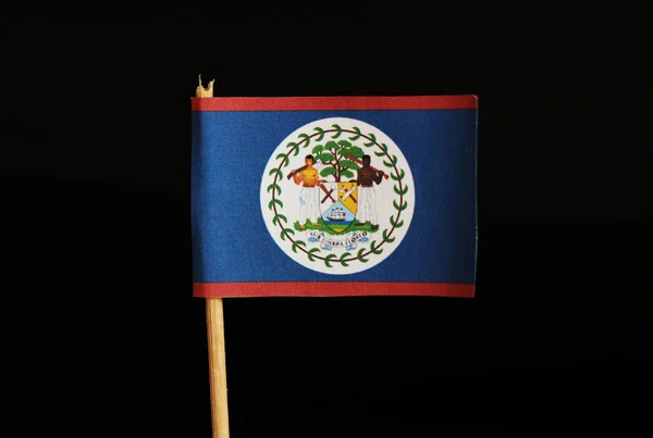 Official Flag Belize Wooden Stick Black Background State Located North — Stock Photo, Image