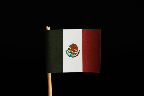 在牙签和黑色背景上的墨西哥官方旗帜 墨西哥属于世界上最犯罪的土地 毒贩无处不在他们有移民到美国的问题 — 图库照片