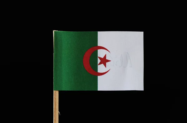 Bandera Original Oficial Argelia Sobre Palillo Dientes Sobre Fondo Negro — Foto de Stock