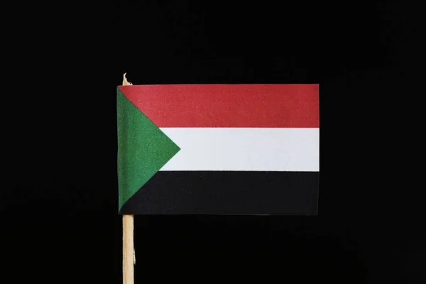 Eine Offizielle Sudan Flagge Auf Zahnstocher Auf Schwarzem Hintergrund Flagge — Stockfoto