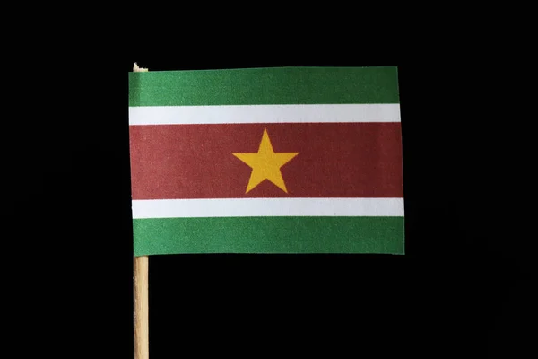 Bandera Oficial Surinam Sobre Palillo Dientes Sobre Fondo Negro Una — Foto de Stock