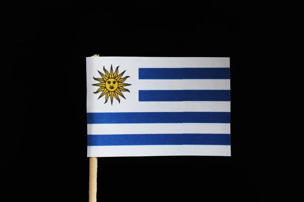 Bandera Original Oficial Uruguay Sobre Palillo Dientes Sobre Fondo Negro — Foto de Stock