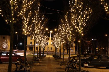 Noel ampuller ağaçları ağaçlar arasında güzel sokak oluşturma. Arka planda biz yol araçları ile görebilirsiniz. Noel dekorasyon şehirler olduğunu